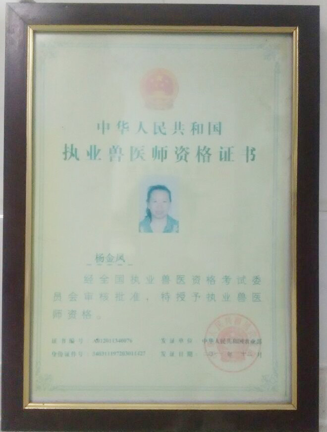 杨金凤执业兽医师资格证